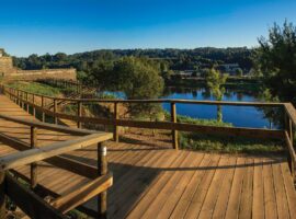 162494225_4221499421203472_4129055567350976488_o