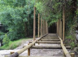 189788321_4422088684477877_5643816638662617763_n