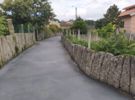 New-Project-2021-08-03T123936.998