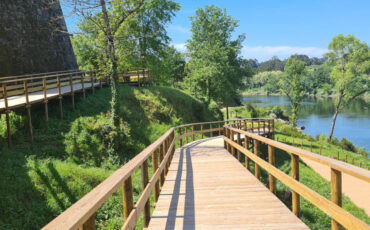 New-Project-2021-10-12T163943.059