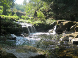 New-Project-2022-02-03T002649.142