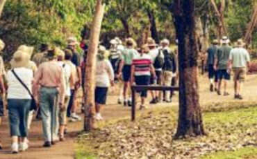 New-Project-2022-04-01T182221.621