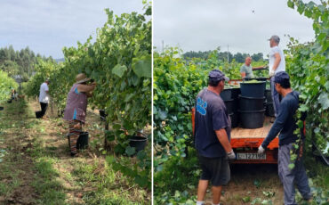 Novo-Projeto-2022-07-02T212510.608-2023-08-26T192848.288