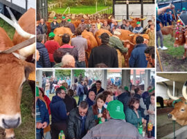 Novo Projeto - 2022-07-02T212510.608 - 2023-11-12T211831.493