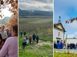 Novo-Projeto-2022-07-02T212510.608-2023-11-18T170401.770