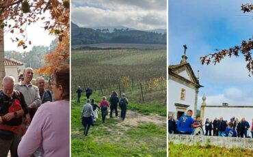 Novo-Projeto-2022-07-02T212510.608-2023-11-18T170401.770