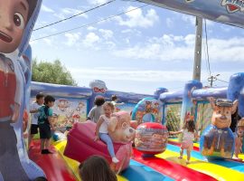 6c80d672-6c88-4f60-8804-939c2f774e72