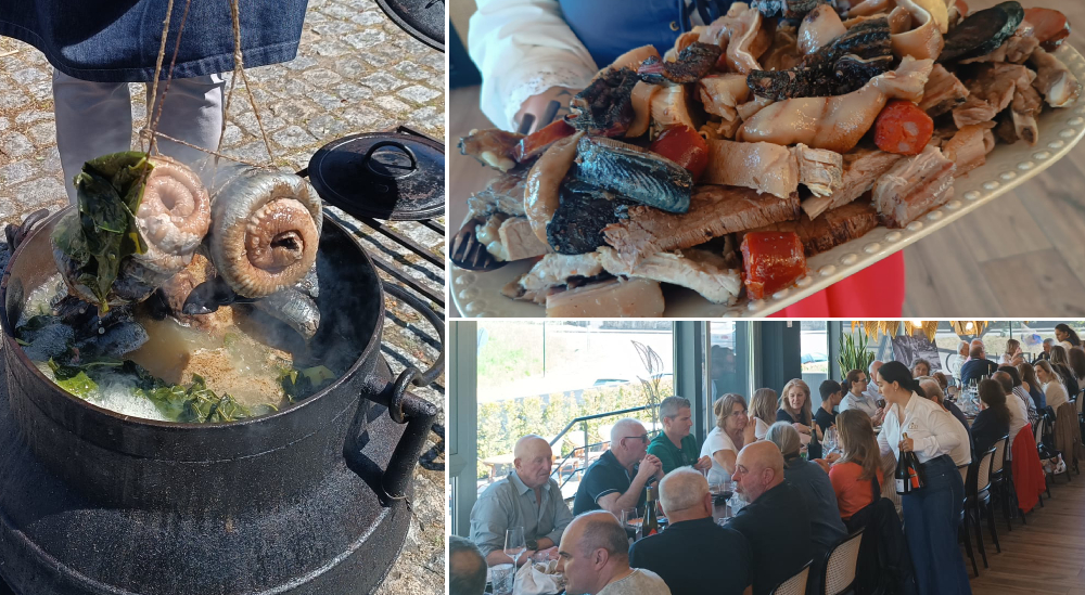 branco-2026-04-18T200212.115