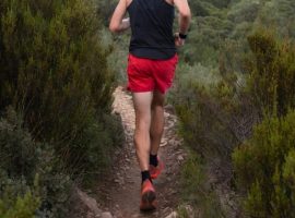 trail2