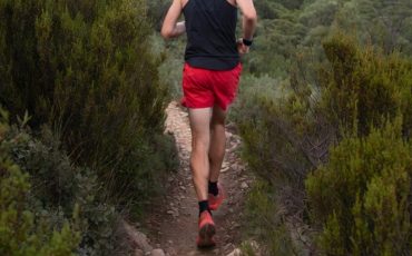 trail2