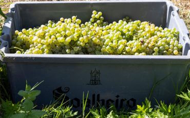 soalheiro (1)